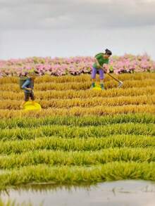 1 Box 5pcs Seasonal Mini Artificial Grass Tuft Model, 4 Colors 2.36*4.15in Realistic Sand Table Grass, Suitable For Various Scene Decoration, Train Track Miniature Landscape Model, Garden Model Landscape And Architectural Scene Layout DIY Material, Miniature Accessories - 1 Box Of Grass Tufts - View 6