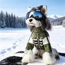 2pcs Cool Pet Racing Jacket With Goggles Set, Fashionable Outdoor Colorblock Zipper Photo Outfit, Suitable For Cats And Small To Medium Dogs - Multicolor - View 3