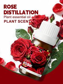 EMBRACEX. Minyak Esensial Mawar 10ml, Aroma Bunga, Alami & Segar, Bebas Alkohol, Diffuser Dalam Ruangan, Wangi Tahan Lama, Aromaterapi Mobil, Hadiah Liburan, Pembuatan Lilin - mawar - View 3