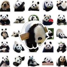 Tachimi 61pcs Cute Realistic Giant Panda Stickers, Creative Planner Stickers, National Treasure Panda Funny Expression Stickers, Waterproof Decorative Stickers - Multicolor - View 6
