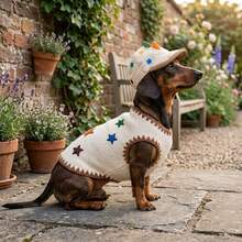 2026 Autumn/Winter New Cute Star Pet Vest & Hat Set For Small Cats & Dogs, Daily Photo Shoot Outfit & Birthday Gift - Multicolor - View 1