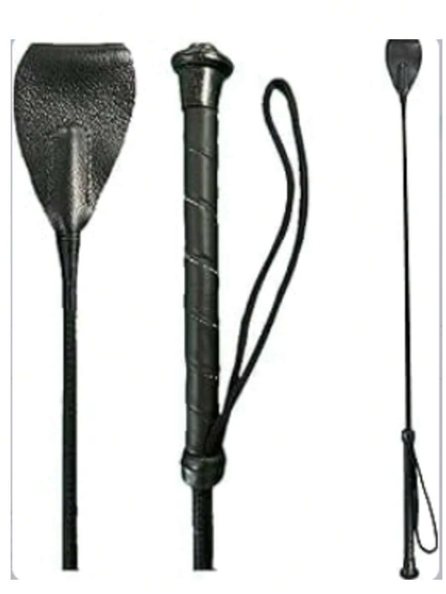 1pc Outdoor Horse Training Whip, Suitable For Beginner Horse Riding Training - Multicolor - View 1