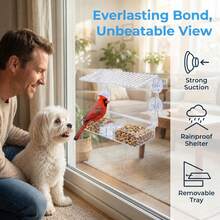Window Bird Feeder With Clear View – Strong Suction Cups, Easy-Clean Tray - 25L X 10W X 16.5Hcm - View 2