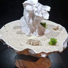 Splatter-Shaped Double Funnel Hideout | Material | Suitable For Gecko, Ornamental Fish And Shrimp | Reptile Tank, Aquarium | Splatter Style - White - View 3