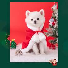 Pet Dog Winter Warm Clothes, Red Riding Hood Cape, Christmas Pet Cat Hooded Cloak Apparel Halloween Halloween Costumes - Red - View 11