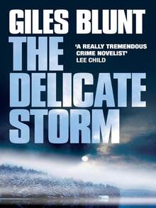 The Delicate Storm - Single Book - View 1