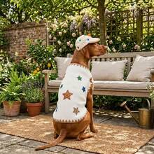 2026 Autumn/Winter New Cute Star Pet Vest & Hat Set For Small Cats & Dogs, Daily Photo Shoot Outfit & Birthday Gift - Multicolor - View 3