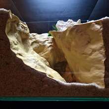 Thin Wall-Mounted Wave Rock Cave | Space-Saving Design | Waterproof Material | Suitable For Fish, Gecko, Chameleon, Lizard | Reptile Tank Side Decor - Champagne - View 4
