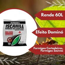 Pra Formiga - Kit Mata Formigas Doméstico Jardim Inseticida Gel e Isca Granulada - C - Visão 7