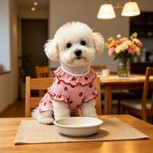 1PC Cute Ruffle Collar Dog T-Shirt With Pearl Bow Decor, Strawberry Heart Cherry Print Ribbed Knit Puppy Short Sleeve Top, Soft Pet Clothes For Small Dogs Bichon Teddy Daily Outfit - Multicolor - View 9