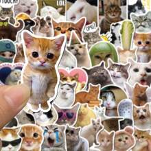 50 buah Stiker Doodle Kucing Lucu, Stiker Dekoratif DIY Kreatif Cocok untuk Gelas, Kulkas, Buku, Koper, Meja, Helm, Skateboard, Kamera, Gitar, Laptop - MultiWarna - View 1