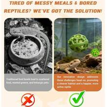 1/2Pcs Reptile Hanging Feeder With Chain, Lizard Chameleon Food Basket, Small Pet Toy, Terrarium Accessories - 250ml - View 5