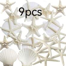 Set Of 9 Or 15 Starfish Decorations; Small Starfish And Mini Seashells Suitable For Crafting; Scallop And Clam Shells Perfect For DIY Ocean-Themed Parties, Weddings, And Gatherings. - 1 - View 10