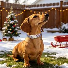 1pc Cartoon Christmas Tree Printed Collar, Soft Adjustable Dog Collar With Quick Release Safety Buckle, Adjustable Strap, Zinc Alloy DRing, Holiday Christmas Pet Collar For Small, Medium & Large Dogs And Cats, Festival Gift For Boy & Girl Pets - Green - View 8