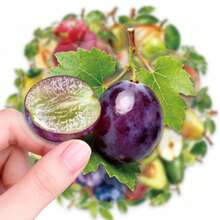 50pcs Realistic Fruit PET Stickers, Suitable For Laptop, Water Bottle, Luggage, Helmet, Notebook And Other DIY Creative Toys - Multicolor - View 8