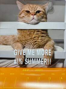 2027 Cat Calendar, Humorous And Funny Cat Wall Calendar, Includes 12 Months Of Images, Large Writing Space For Home Planning - Multiple Styles - View 7