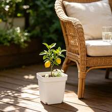 30/20/10/2pcs White Square Planters With Drainage Feet, Anti-Root Rot, Succulent Seedling Pots, Indoor Desktop Green Plant Planting Small Square Pots - A - View 2