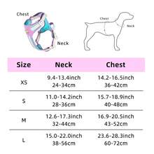 Dog Harness Pet No-Pull Harness With Leash Set, Adjustable Reflective No-Choke Puppy Harness, Suitable For Small And Medium Dogs And Cats Walking Training, Pet Chest Harness Set (Suitable For Schnauzer, French Bulldog, Poodle, Bichon Frise, Papillon, Shiba Inu, Etc.) - Multicolor - View 2