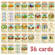 36Pcs English Fruit And Vegetable Game Flash Cards, Colorful Cartoon Food Educational Cards, Kids English Vocabulary Learning Cards For Preschool Teaching, Homeschool, Family Guessing Game - Multicolor - View 10