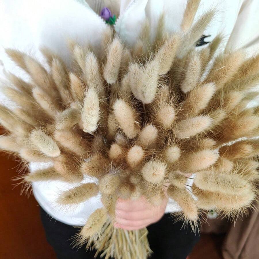 55-60根，17英寸红色人造兔尾草，家居装饰人造兔尾草茎，适用于波西米亚风插花、DIY手工、家居厨房和婚礼装饰、圣诞节、感恩节、花环装饰 - 原色 - 查看 1