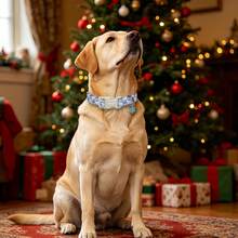 1PC Blue Santa Claus Cartoon Printed Dog Collar, Soft Adjustable Pet Collar With Quick Release Buckle, Adjustable Strap And Zinc Alloy D-Ring, Festive Christmas Pet Collar For Small, Medium And Large Dogs & Cats, Holiday Gift For Boys & Girls - Blue - View 8
