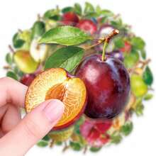 50pcs Realistic Fruit PET Stickers, Suitable For Laptop, Water Bottle, Luggage, Helmet, Notebook And Other DIY Creative Toys - Multicolor - View 6