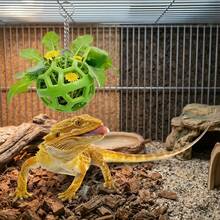 1/2Pcs Reptile Hanging Feeder With Chain, Lizard Chameleon Food Basket, Small Pet Toy, Terrarium Accessories - 250ml - View 2
