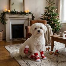 Christmas Reindeer Pet Socks 4pcs/Set, Non-Slip Silicone Grip Bottom, Elastic Knitted Paw Protectors, Suitable For Small Dogs, Medium Dogs And Cats, Indoor Floor Protection, Holiday Party Photo Props - Multicolor - View 5