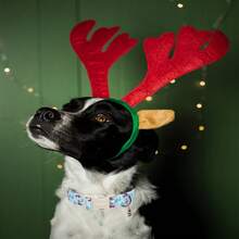 1pc Cartoon Christmas Tree Printed Collar, Soft Adjustable Dog Collar With Quick Release Safety Buckle, Adjustable Strap, Zinc Alloy DRing, Holiday Christmas Pet Collar For Small, Medium & Large Dogs And Cats, Festival Gift For Boy & Girl Pets - Green - View 8