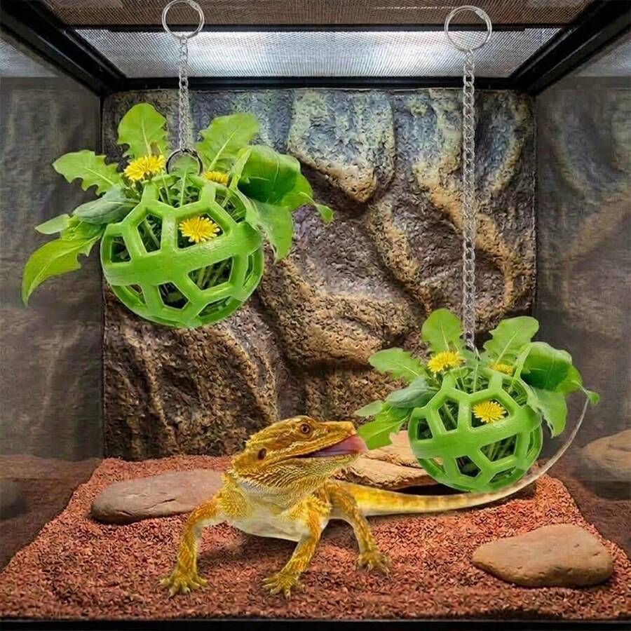 1/2Pcs Reptile Hanging Feeder With Chain, Lizard Chameleon Food Basket, Small Pet Toy, Terrarium Accessories - 250ml - View 1