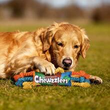 Multifunctional Pet Squeaky Toy, Dog Teething Training Rope Knot, Cat Self-Entertainment Chewing Toy, Durable And Dirt-Resistant - Multicolor - View 6