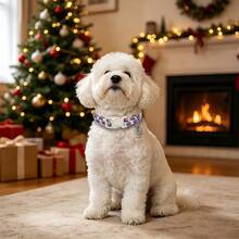1pc Cartoon Christmas Tree Printed Collar, Soft Adjustable Dog Collar With Quick Release Safety Buckle, Adjustable Strap, Zinc Alloy DRing, Holiday Christmas Pet Collar For Small, Medium & Large Dogs And Cats, Festival Gift For Boy & Girl Pets - Green - View 9