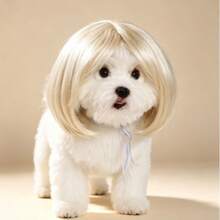 Multi-Style Pet Cosplay Wig Soft Synthetic Fake Hair, Adjustable Strap Design Dog Cat Dress-Up Accessory, Assorted Hairstyles For Birthday Party, Photoshoot & Holiday Decoration - Multicolor - View 6