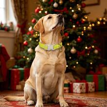 Yellow Polka Dot Adjustable Dog Collar With Quick Release Buckle, Adjustable Strap & Zinc Alloy D-Ring, Christmas Festival Pet Collar For Small, Medium, Large Dogs And Cats, Holiday Gift For Boy & Girl Pets - Yellow - View 8