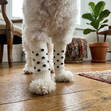 Pelindung Kaki Rajut untuk Hewan Peliharaan, Penghangat Kaki Anjing Panjang Elastis, Pelindung Siku dan Lutut, Cocok untuk Anjing Kecil dan Sedang, Pelindung Kaki Anti Kotoran untuk Penggunaan di Dalam dan Luar Ruangan - MultiWarna - View 3