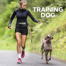 Reflective Waist Bag Pet Leash Set, 1-To-1 And 1-To-2 Retractable Leash - Dual Layer Handle, Adjustable Waist Belt, Suitable For Dog Walking, Running, More Convenient And Comfortable - Multicolor - View 6