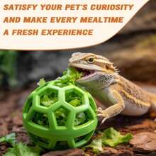 1/2Pcs Reptile Hanging Feeder With Chain, Lizard Chameleon Food Basket, Small Pet Toy, Terrarium Accessories - 250ml - View 4