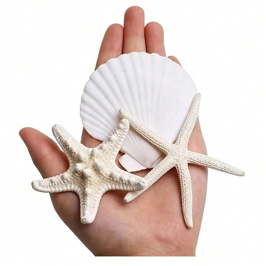 9/15pcs Star-Shaped Decorations, Mini Shells For Handmade Crafts, Clam And Oyster Shells For Ocean Theme, Wedding, Party, Halloween And Christmas DIY Decor - A - View 1