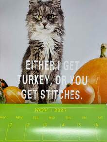 2027 Cat Calendar, Humorous And Funny Cat Wall Calendar, Includes 12 Months Of Images, Large Writing Space For Home Planning - Multiple Styles - View 9