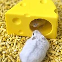 1pc Cheese-Shaped Hamster House, No Assembly Required, Small Pet Cage, Built-In Comfortable Nest, Provides Bedding Hiding Spot For Hamsters And Gerbils, Warm In Winter And Cool In Summer - View 5