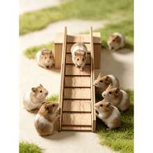 Wooden Small Animal Ladder And Ramp - Multi-Layer Cage Connection Platform, Suitable For Guinea Pigs, Hamsters, Rabbits, Ferrets Habitat Ramp, Cage Staircase, Wooden Component For Multi-Layer Enclosure - one-size - View 7