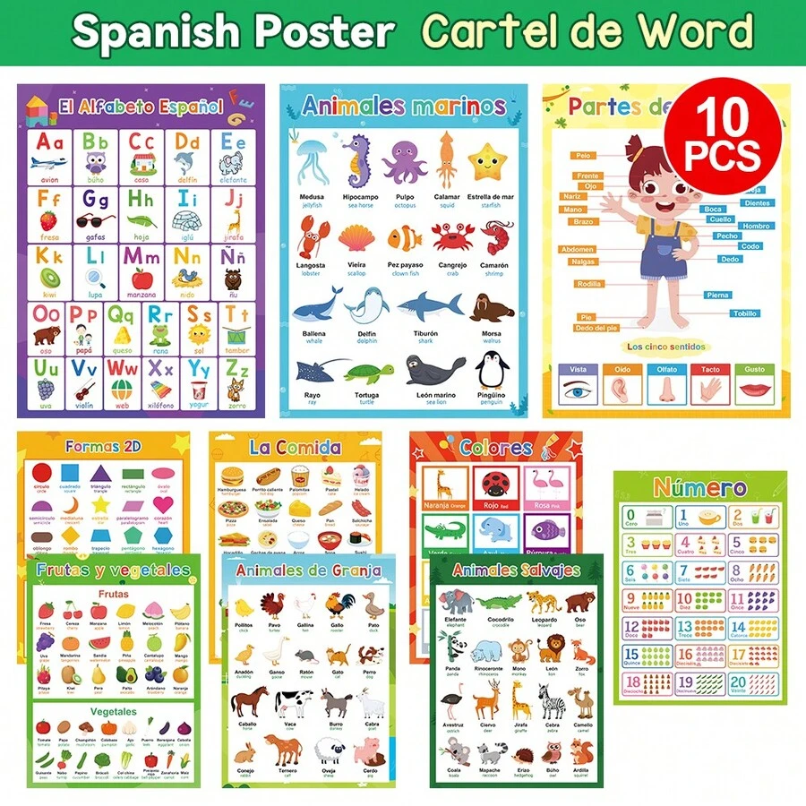 Lachilly 10 buah Poster Pembelajaran Bahasa Spanyol, Perlengkapan Pendidikan Prasekolah Taman Kanak-kanak, Dekorasi Papan Buletin Kelas, Poster A4, Materi Pembelajaran Bahasa Spanyol - MultiWarna - View 1
