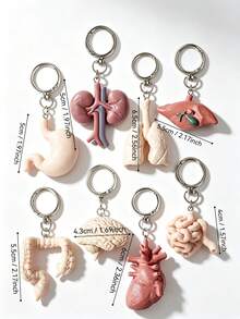 1 Set (8pcs) Human Organ Anatomy Model Pendant Keychain, Heart, Lung, Kidney, Brain, Stomach, Intestine, Liver Charms, Medical Student Gift, Niche Gothic Style Backpack Decoration - Multicolor - View 6