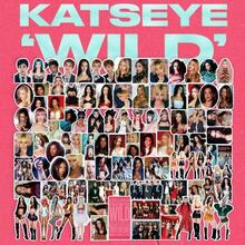 Katseye 女團 WILD 專輯貼紙，名人周邊粉絲支持貼紙，適用於手帳、卡片、行李箱 DIY 裝飾貼紙 - 彩色 - 查看 2