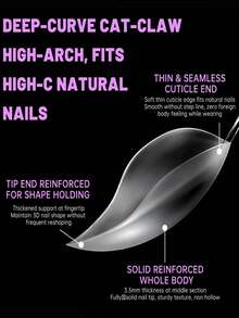 32pcs Full Size Cat Paw Matte Solid 3D Quick Extension Nail Tips, Thickened Fingertips With Shaped Design, Thin Seamless Back End, Comfortable Wear Without Foreign Body Sensation, Home Manicure Salon Quality DIY - Clear - View 2