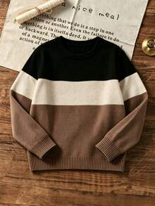 Boys Colorblock Striped Crew Neck Knit Sweater, Casual Long Sleeve Pullover, Autumn/Winter Children Warm Top - Apricot - View 3