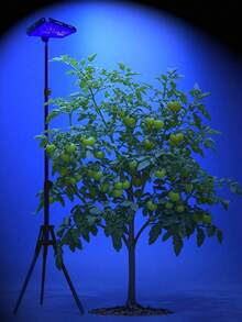 Grow Light For Indoor Plants - Full Spectrum Standing LED Plant Grow Lights With Auto Timer & Adjustable Height Tripod Stand, USB-Powered Floor Grow Lamp For Tall Large Indoor Plants Growing, 3 Light Modes, 10 Dimmable Levels - Black - View 7