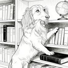 كتاب تلوين للكلاب البالغة 24 صفحة: صفحات تلوين مشاهد كلاب السجق المريحة، هدية مثالية لعيد الميلاد والكريسماس والعطلات لعشاق الكلاب - تتوفر عدة موديلات - مشاهدة 9