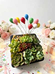 30/20/10 /Pcs Hiasan Bola Pelangi Mini, Stik Dekoratif Bola Bulat Aneka Warna, Hiasan Genggam Warna Acak untuk Kerajinan DIY & Tata Letak Pesta, untuk Kerajinan Tangan, Dekorasi Meja & Properti Foto - Beraneka warna - View 7