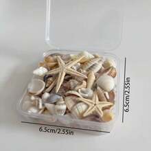 1 Box Approx. 100pcs Ocean Shells & Seashells - For DIY Jewelry Making, Fish Tank Bathroom Home Decor, Party Candle Wedding Decoration, Handmade Crafts, Magazine Scrapbook Dreamy Material - Shell - View 7